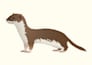 create detailed realistic animal vector illustrations